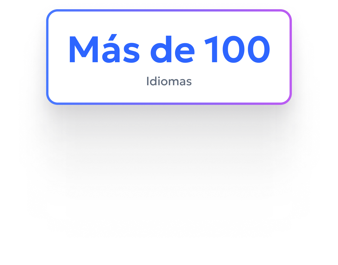 PDF translation interface