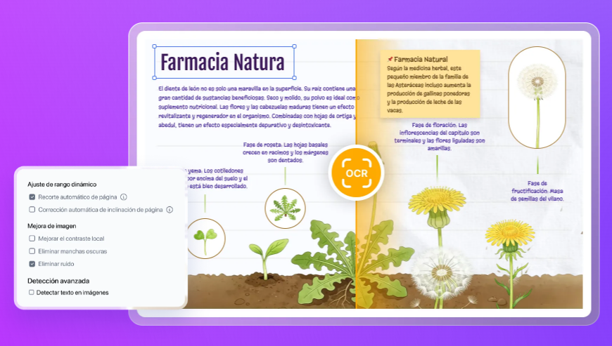 Motor de OCR con IA