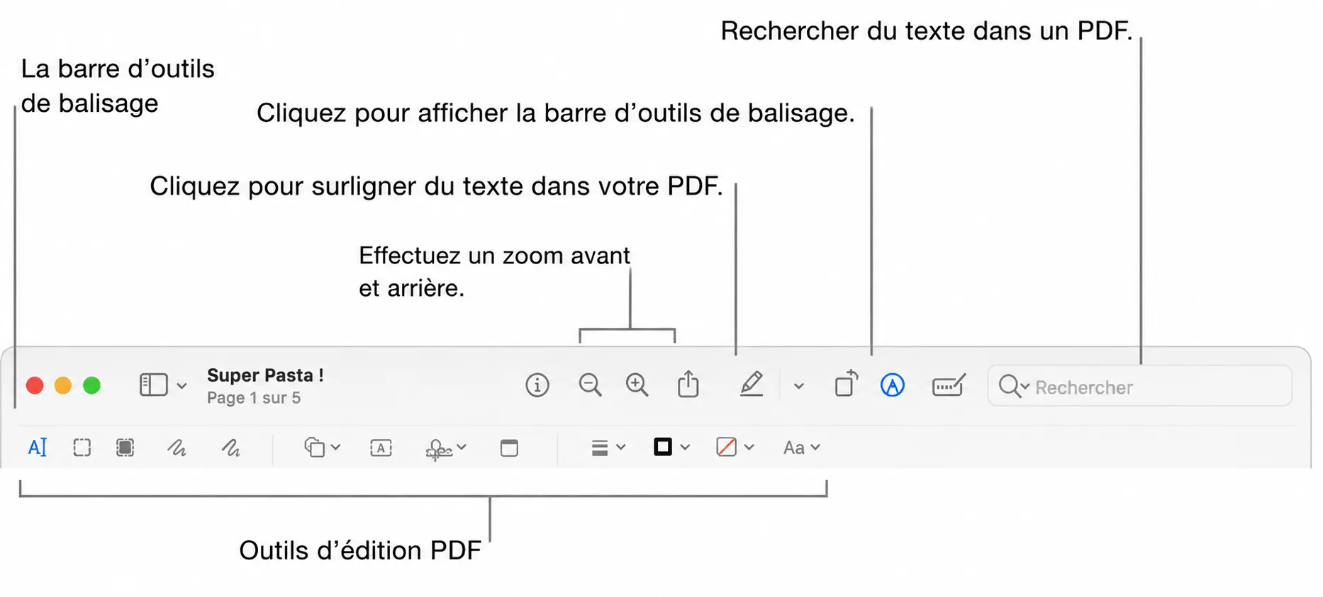 preview markup