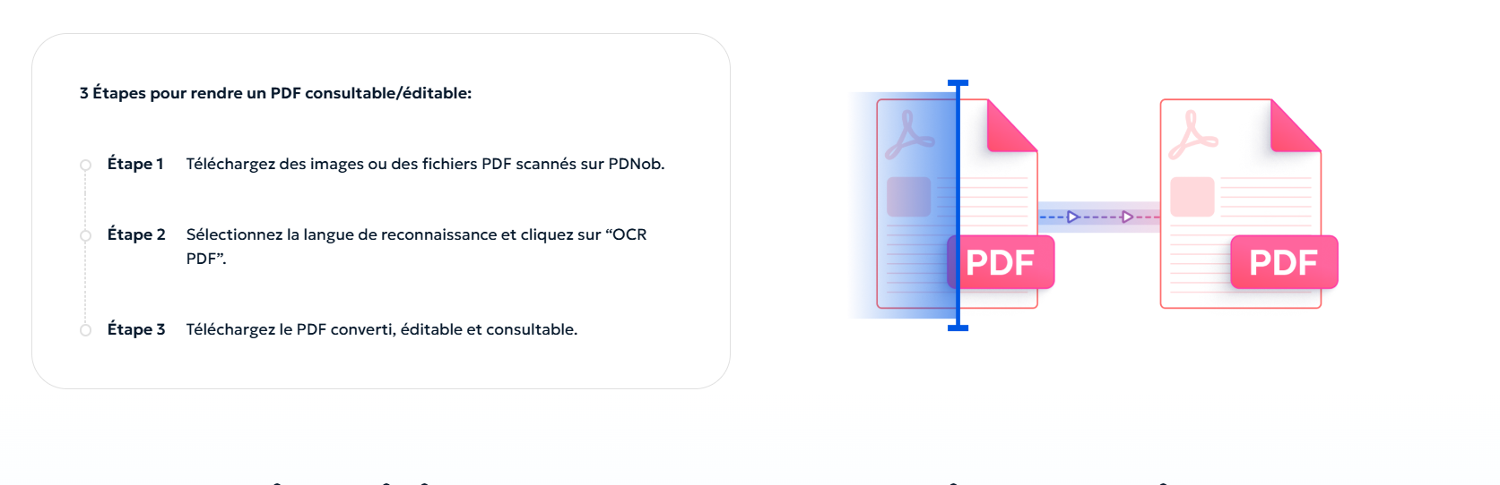 Workflow OCR complet avec PDNob : reconnaissance, recherche, correction et modification