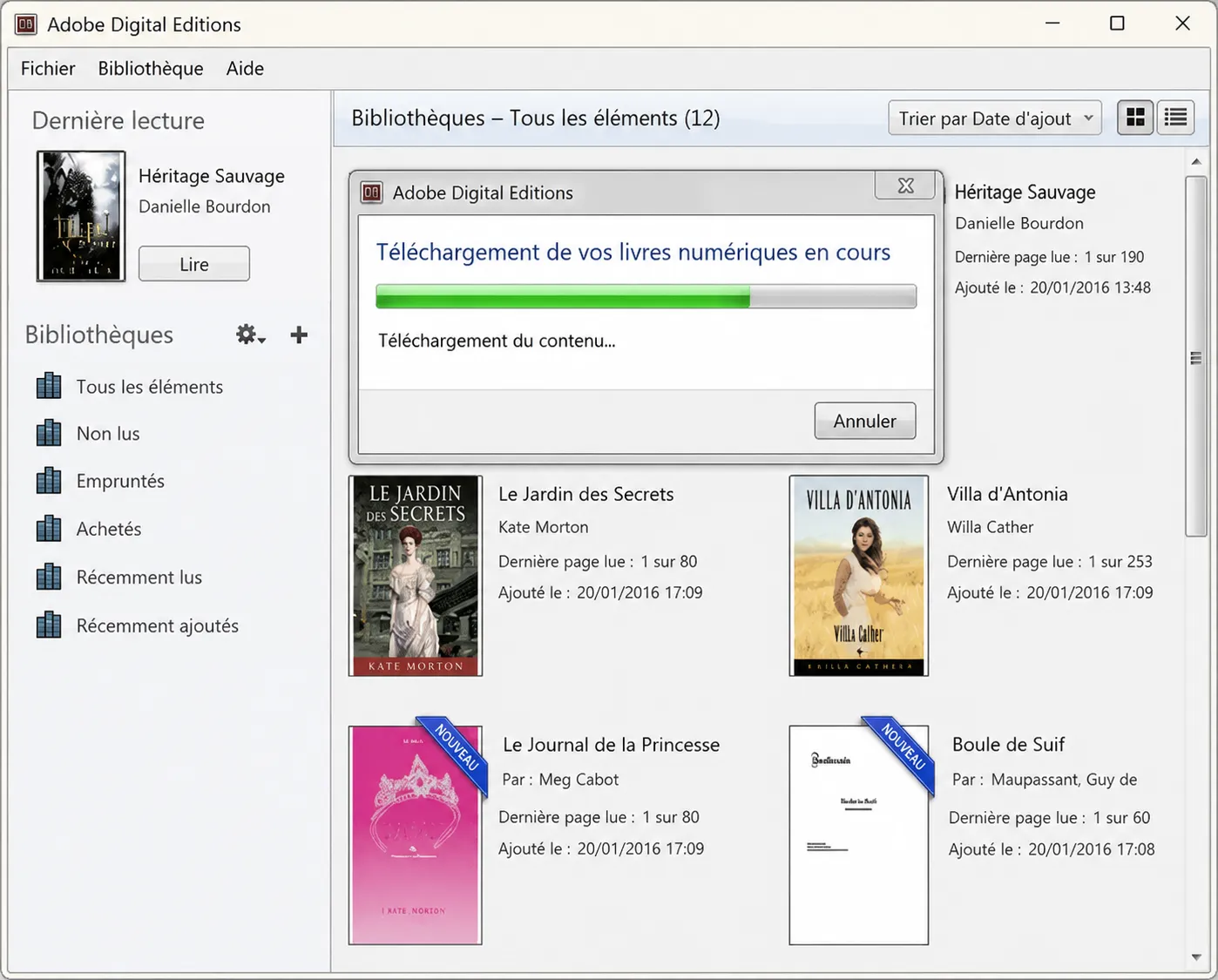 ajouter un fichier ACSM dans Adobe Digital Editions