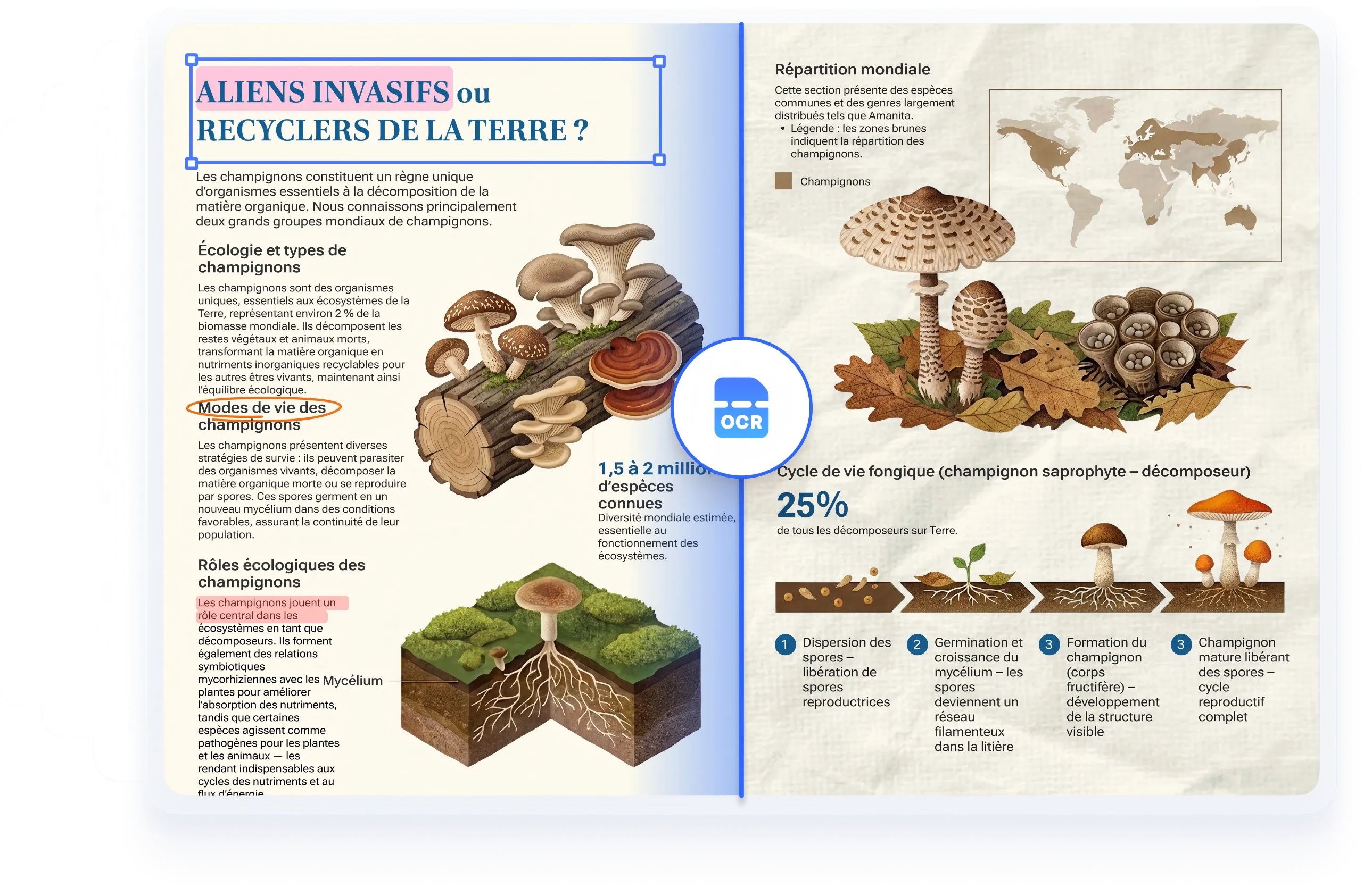 ocr par lots de pdf