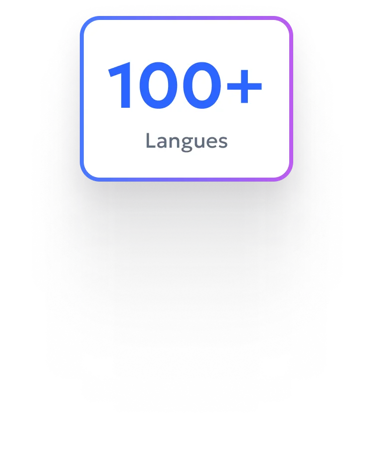 PDF translation interface