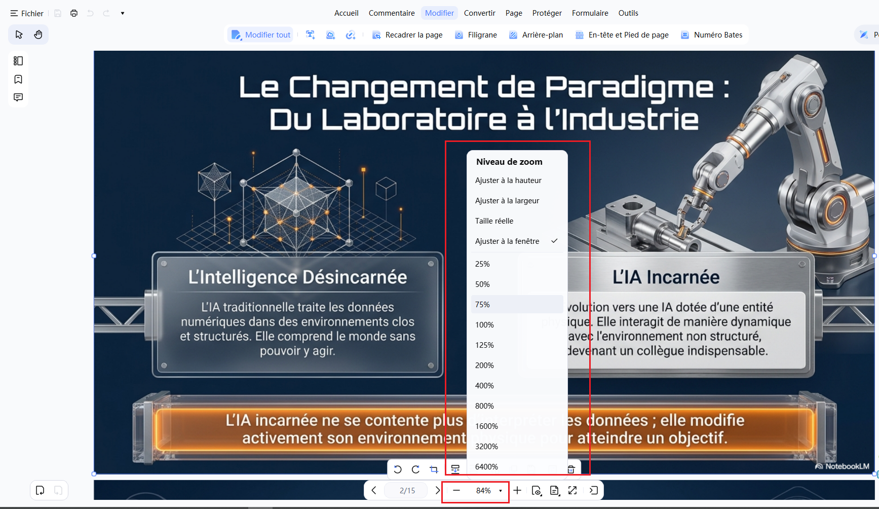 paramètres de zoom et d'affichage pdf