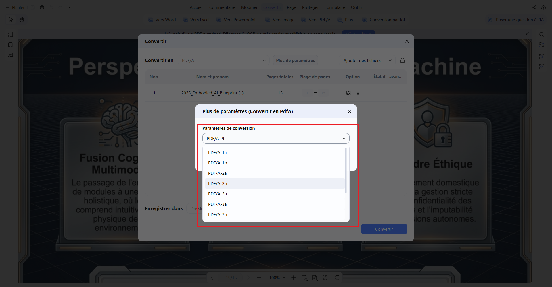 paramètres de conversion en pdf/a