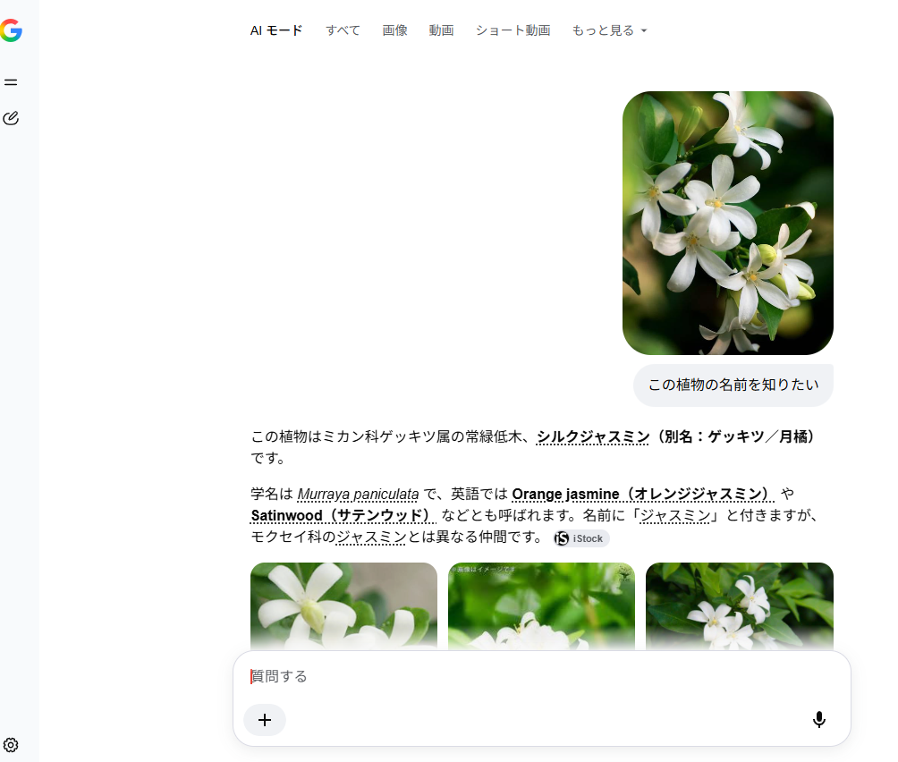 AIモードの画像検索画面