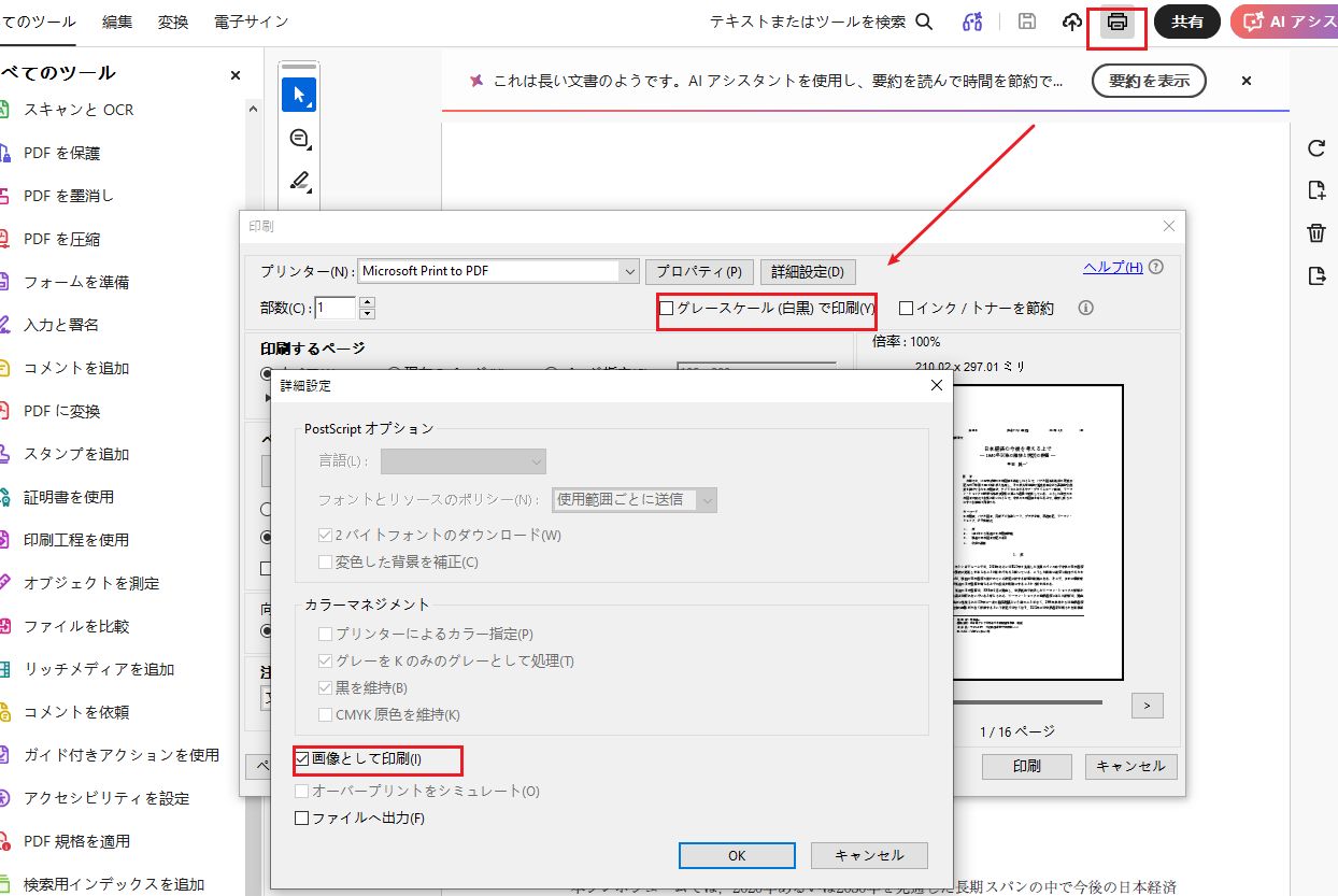 Adobe Readerの印刷詳細設定で画像として印刷にチェックする画面