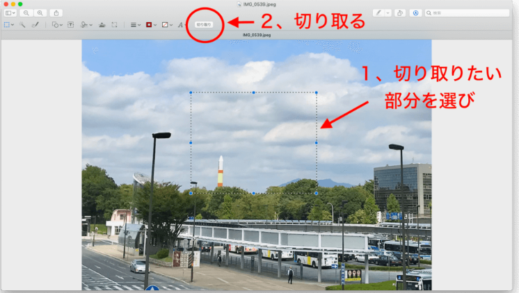 プレビューで被写体を自動で切り抜く