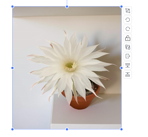 PDNobで画像を編集