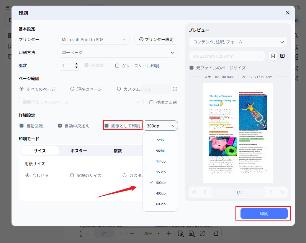 PDNobの画像として印刷設定画面