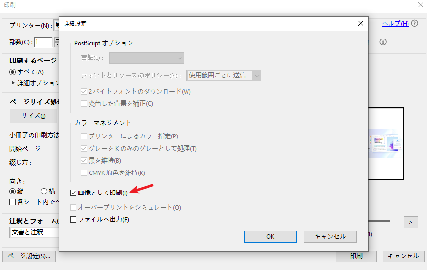 印刷を「画像として印刷」する