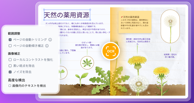 pdnob-v2-precise-ocr