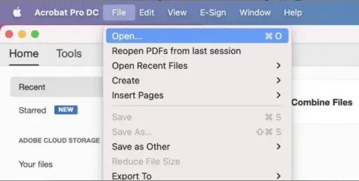 Adobe Acrobat Pro에서 PDF 파일을 열기