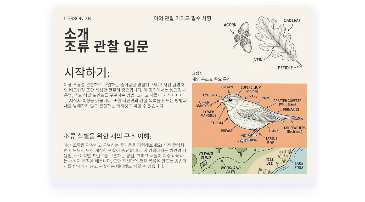 PDF 일괄 변환
