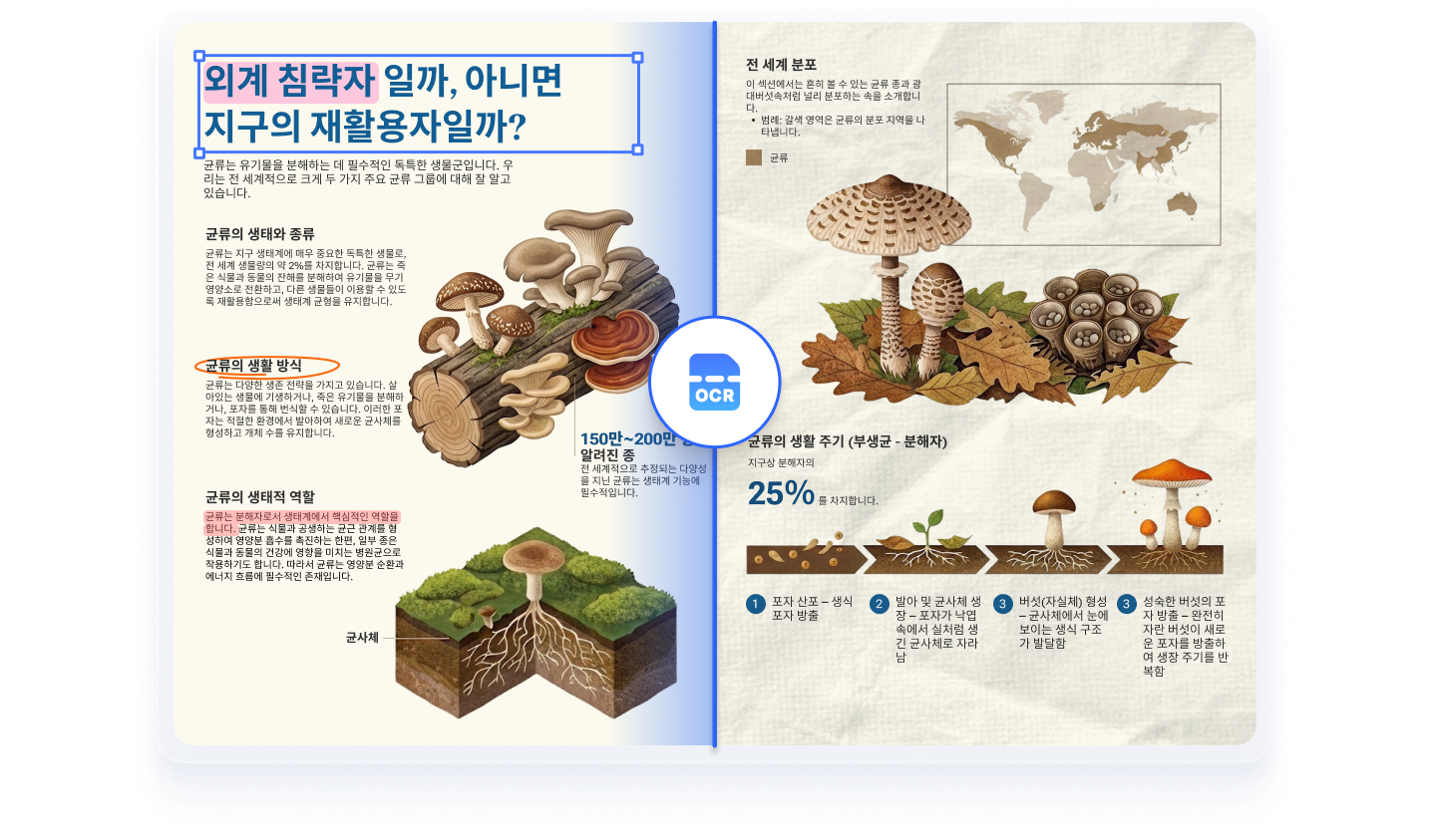 PDF 일괄 OCR