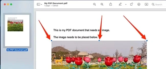 在PDF 中調整圖片大小與位置