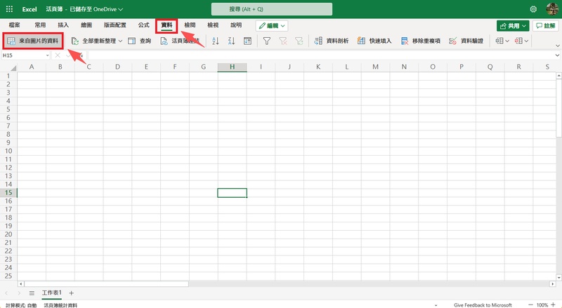 點擊「來自圖片的資料」