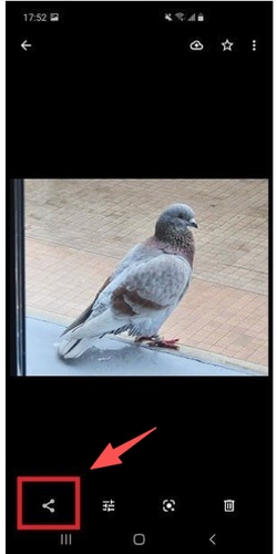 點選「分享」 圖示