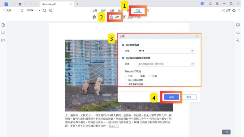 PDNob PDF 設立密碼