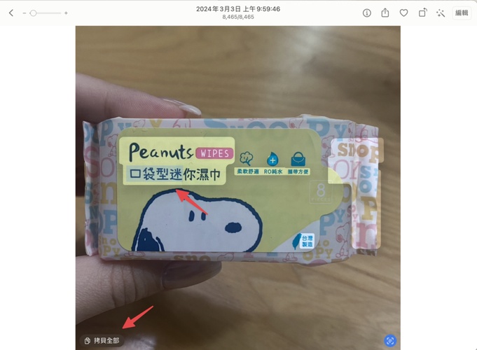 mac原況文字ocr