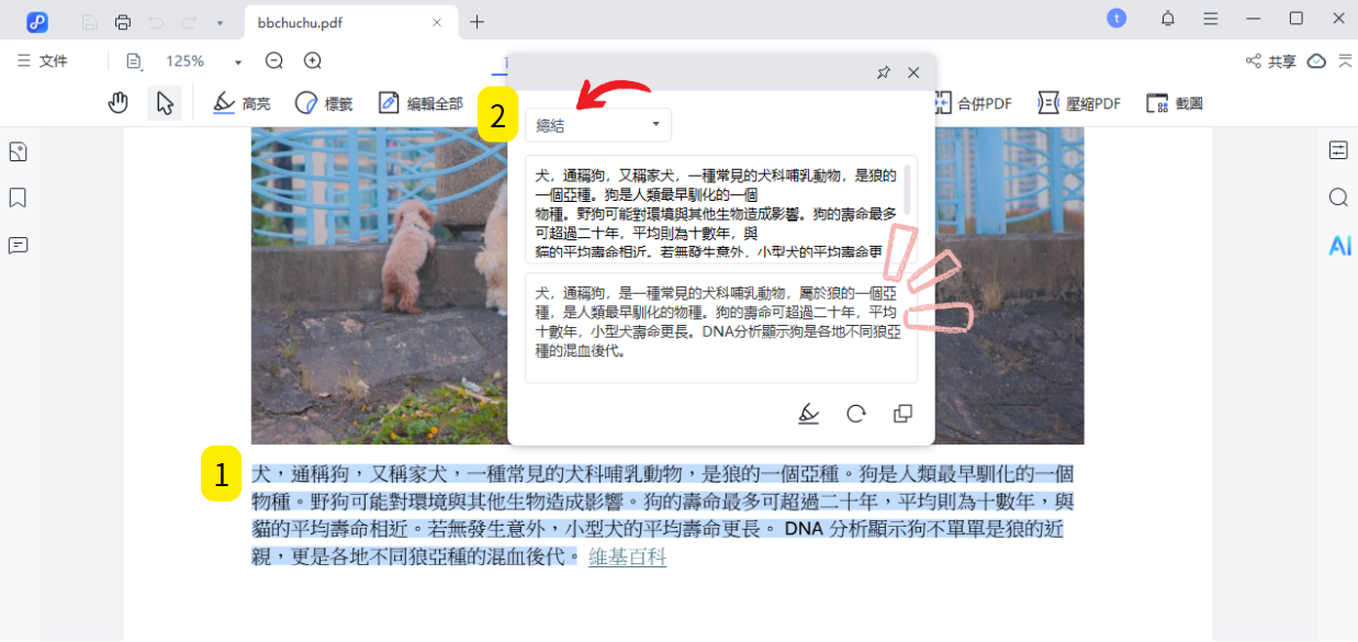 PDNob PDF編輯器使用AI總結功能
