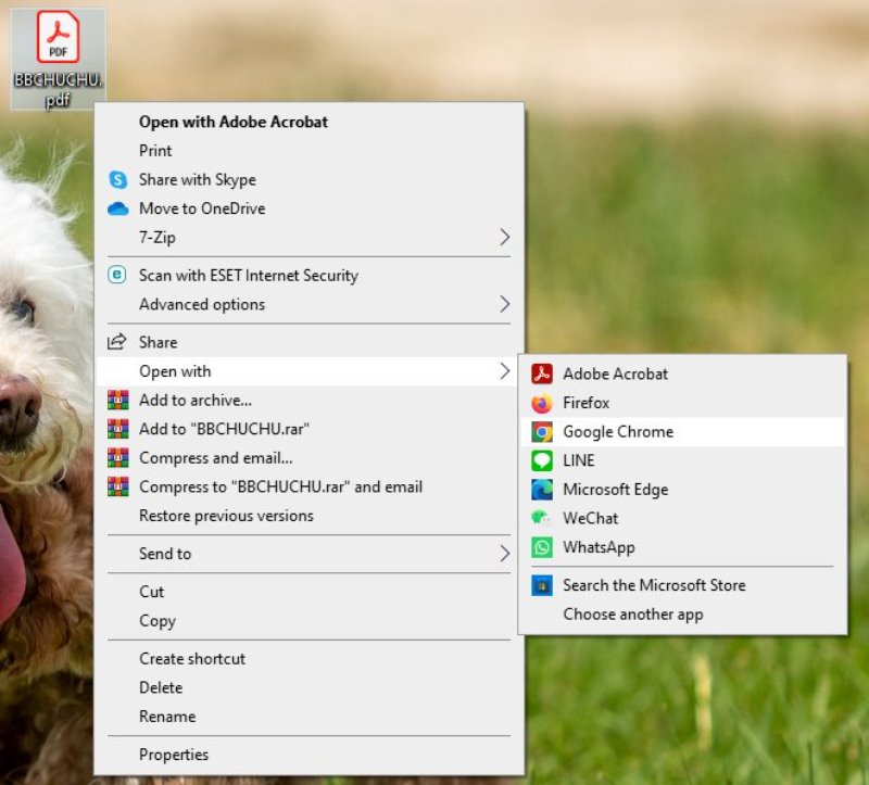 使用瀏覽器開啟 PDF