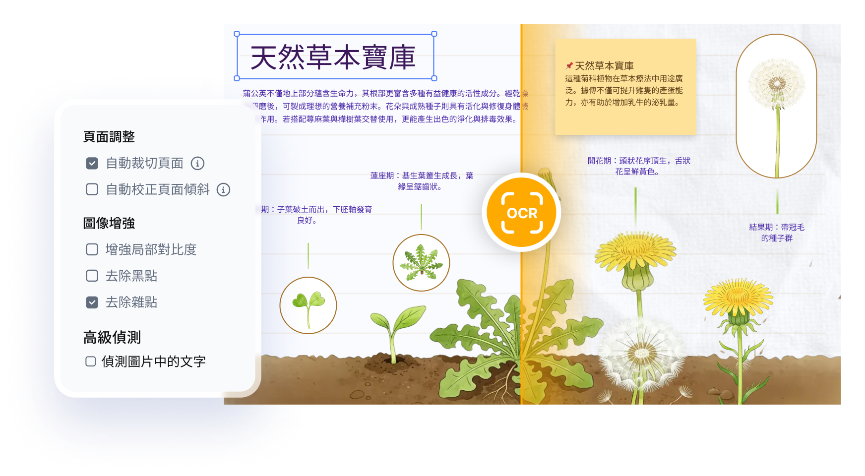 pdnob v2 AI OCR 引擎升級