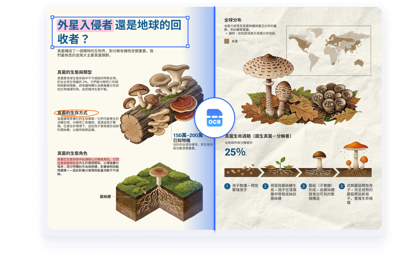 批次 OCR PDF